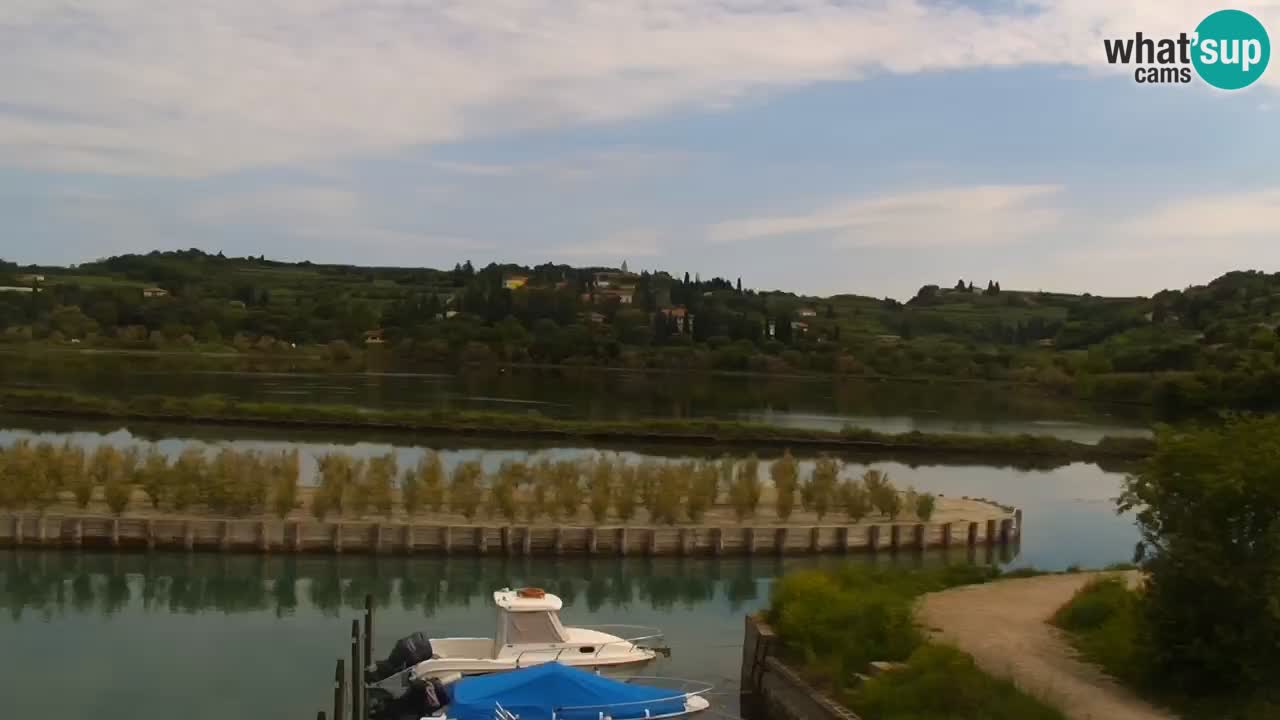 Krajinski park Strunjan u živo