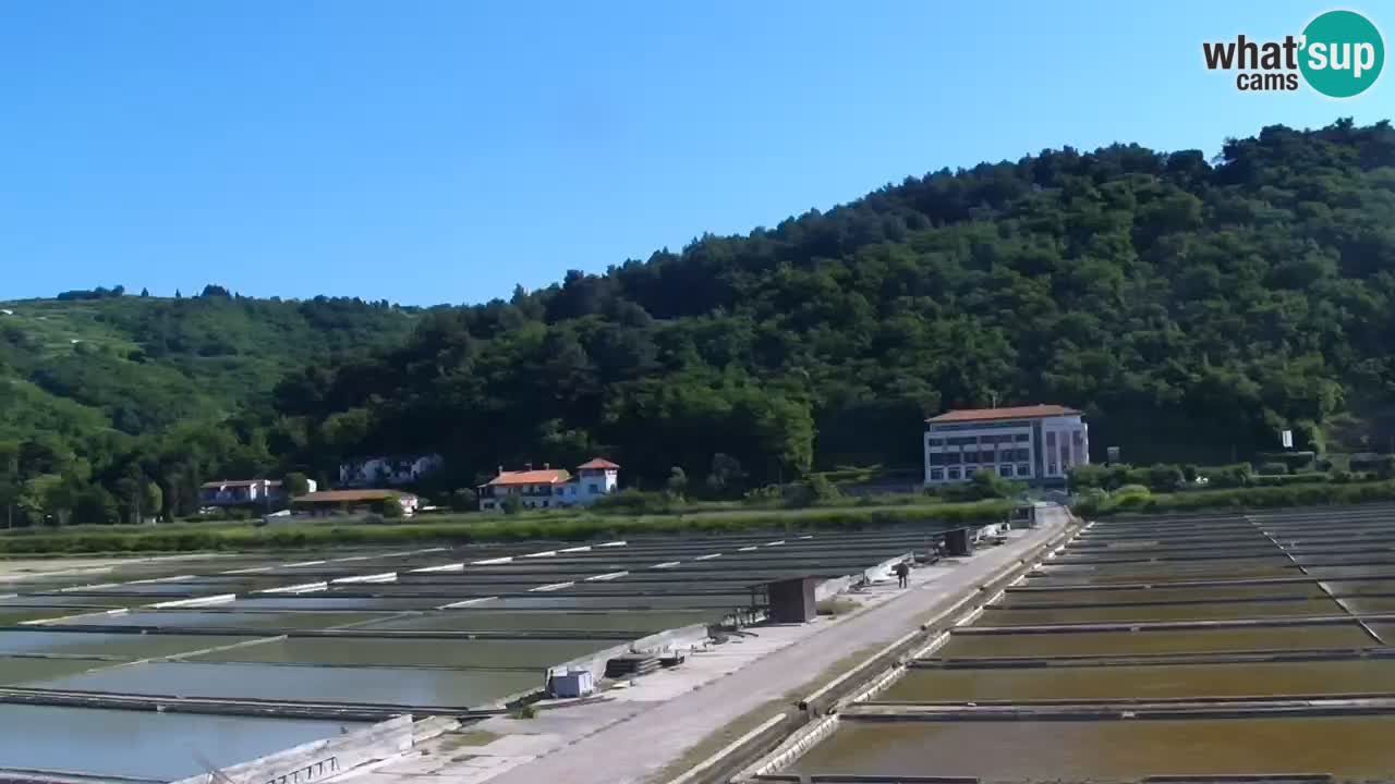Parco naturale Strugnano