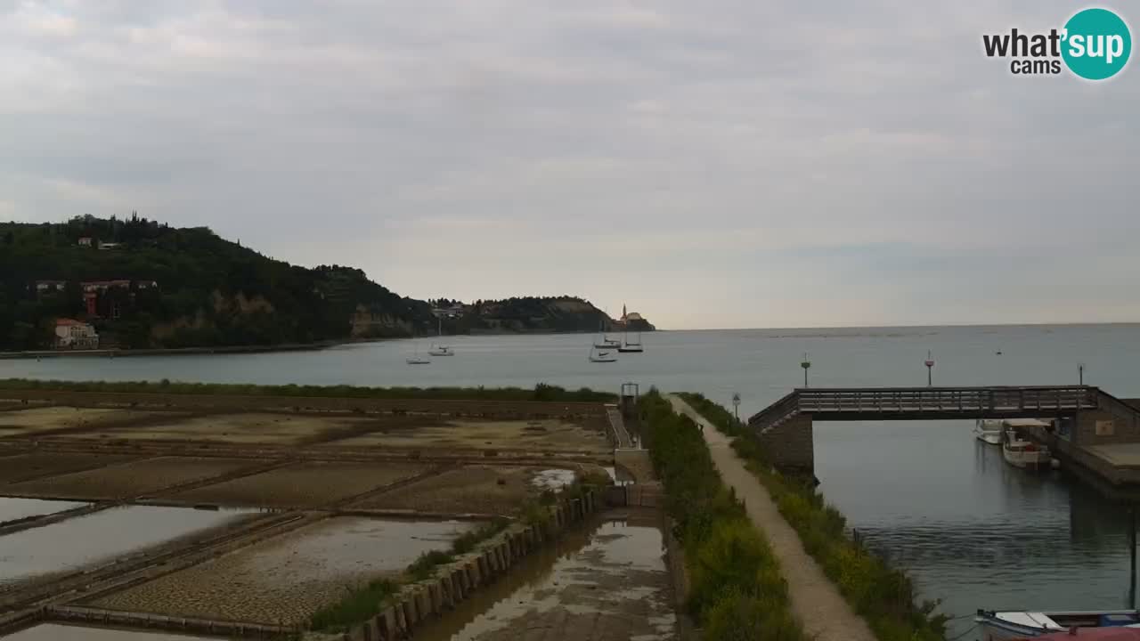 Krajinski park Strunjan