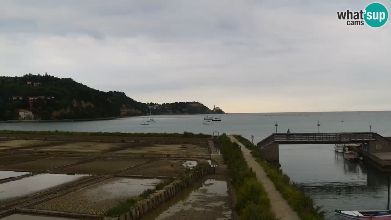 Krajinski park Strunjan