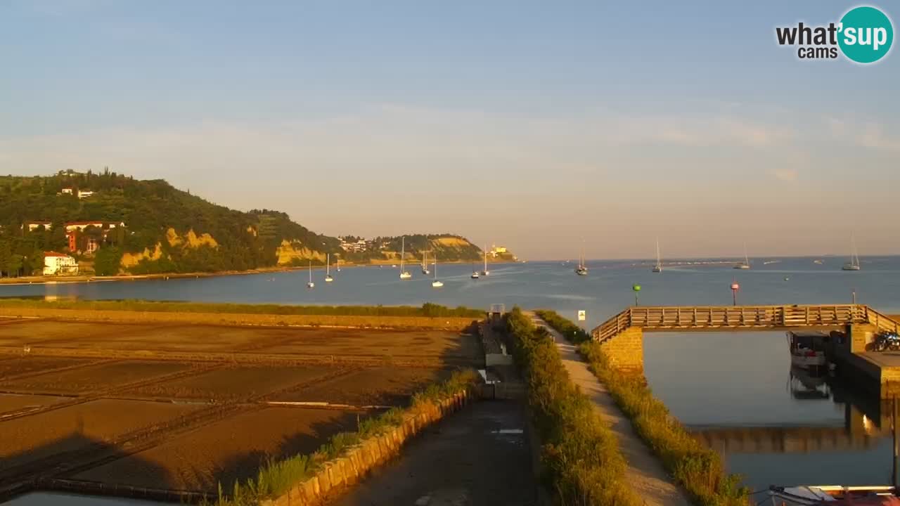 Krajinski park Strunjan