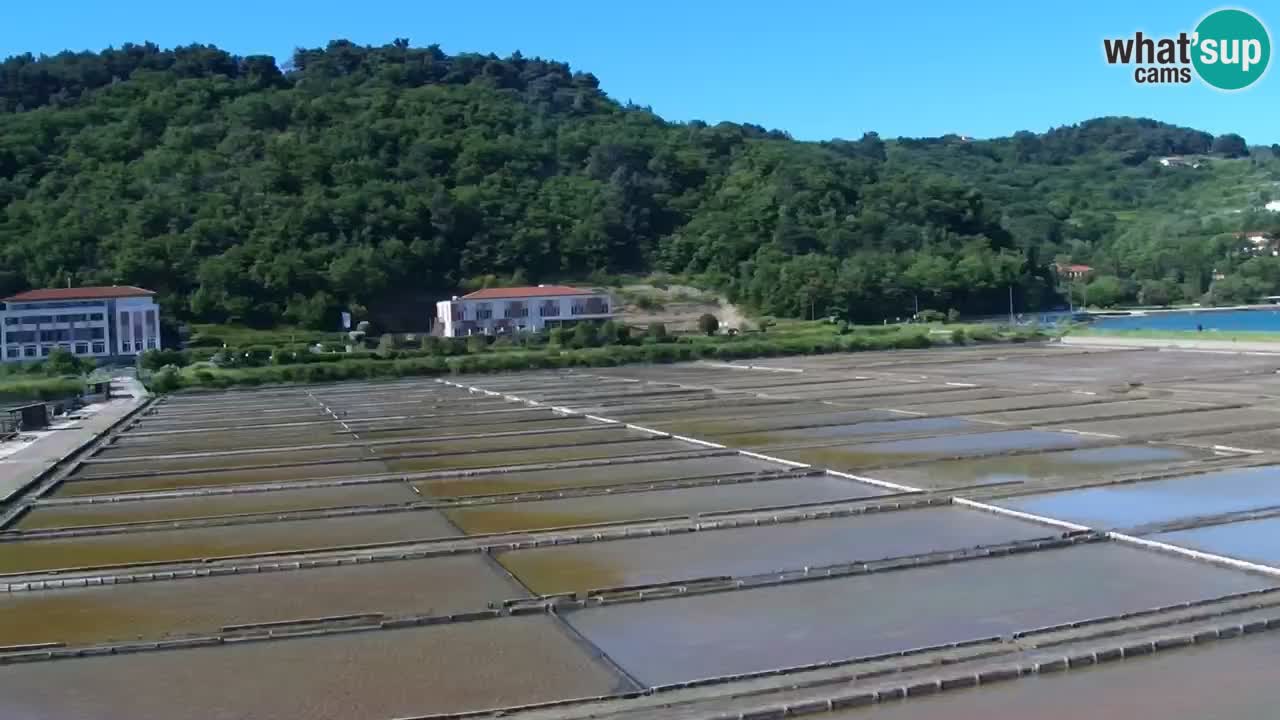 Krajinski park Strunjan