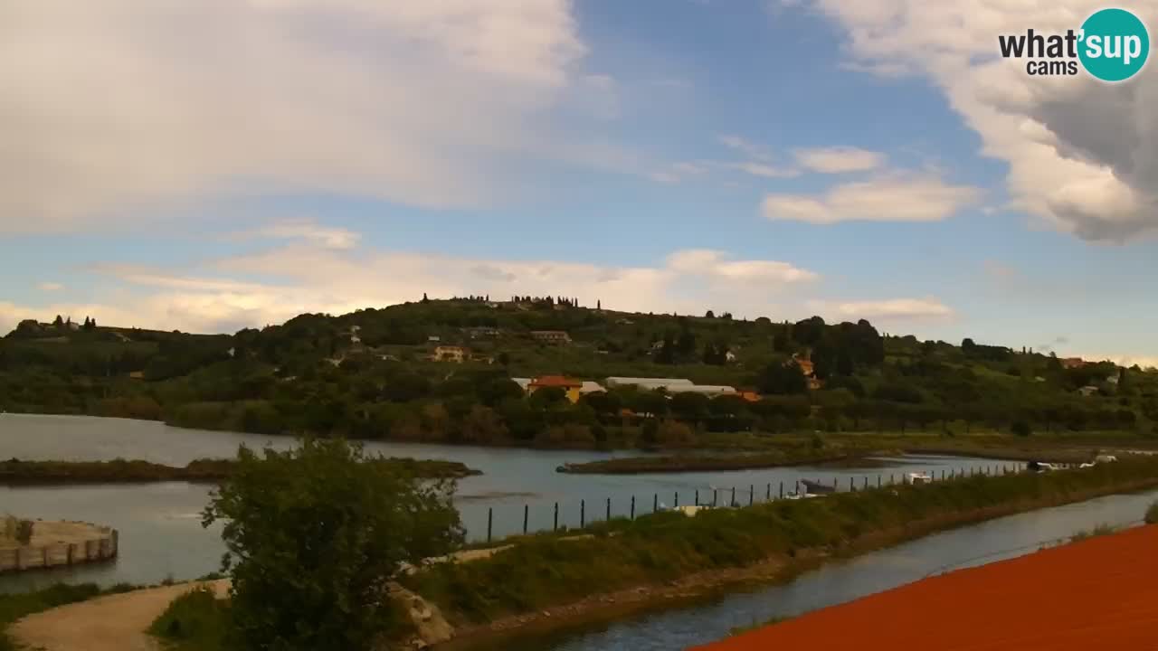 Krajinski park Strunjan u živo