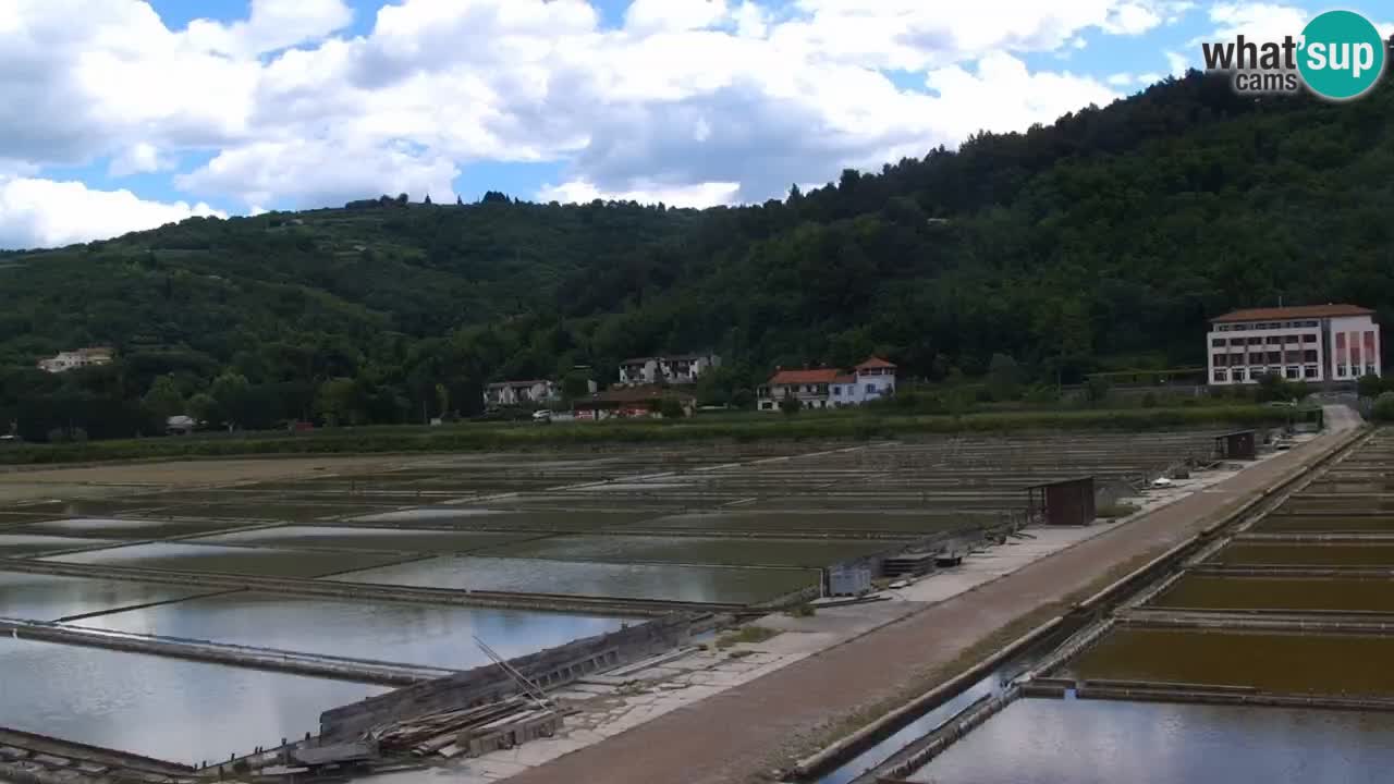 Krajinski park Strunjan