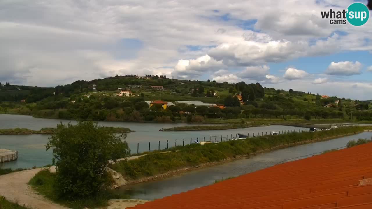 Krajinski park Strunjan v živo