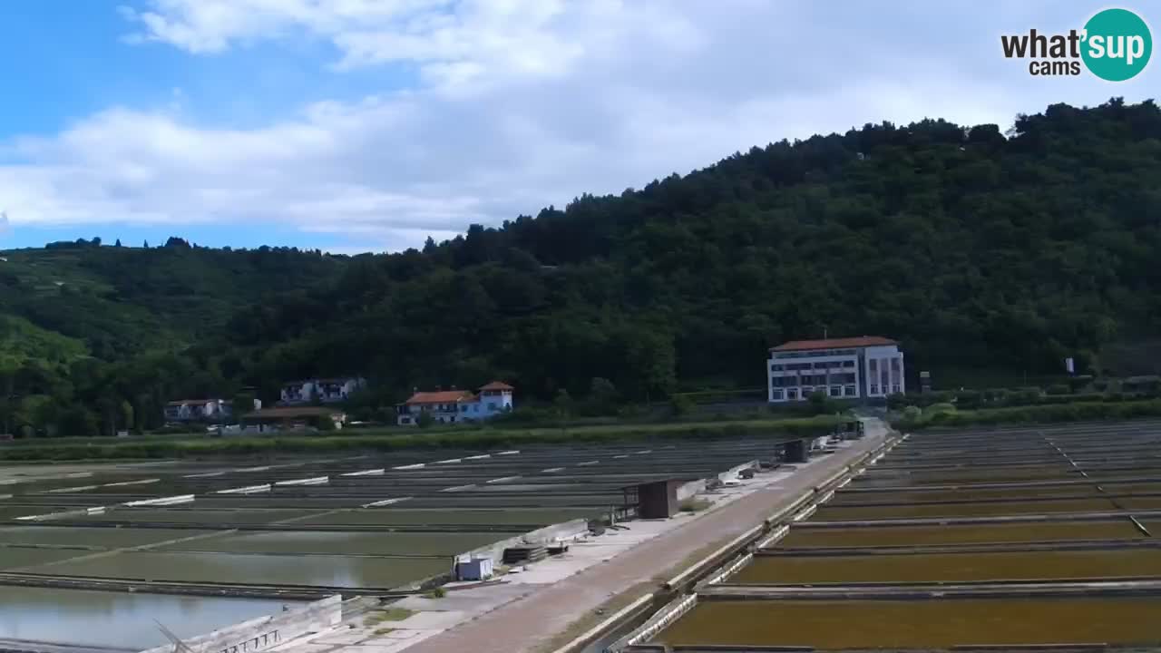 Krajinski park Strunjan