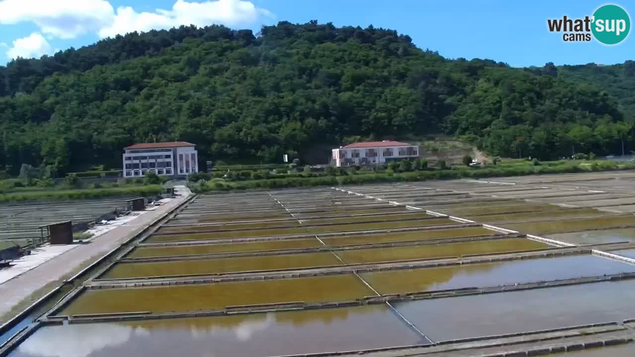 Krajinski park Strunjan