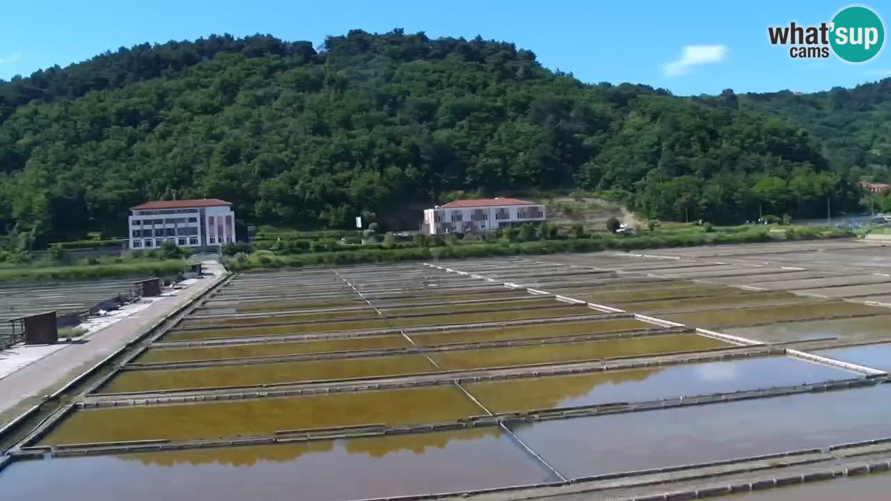 Parco naturale Strugnano