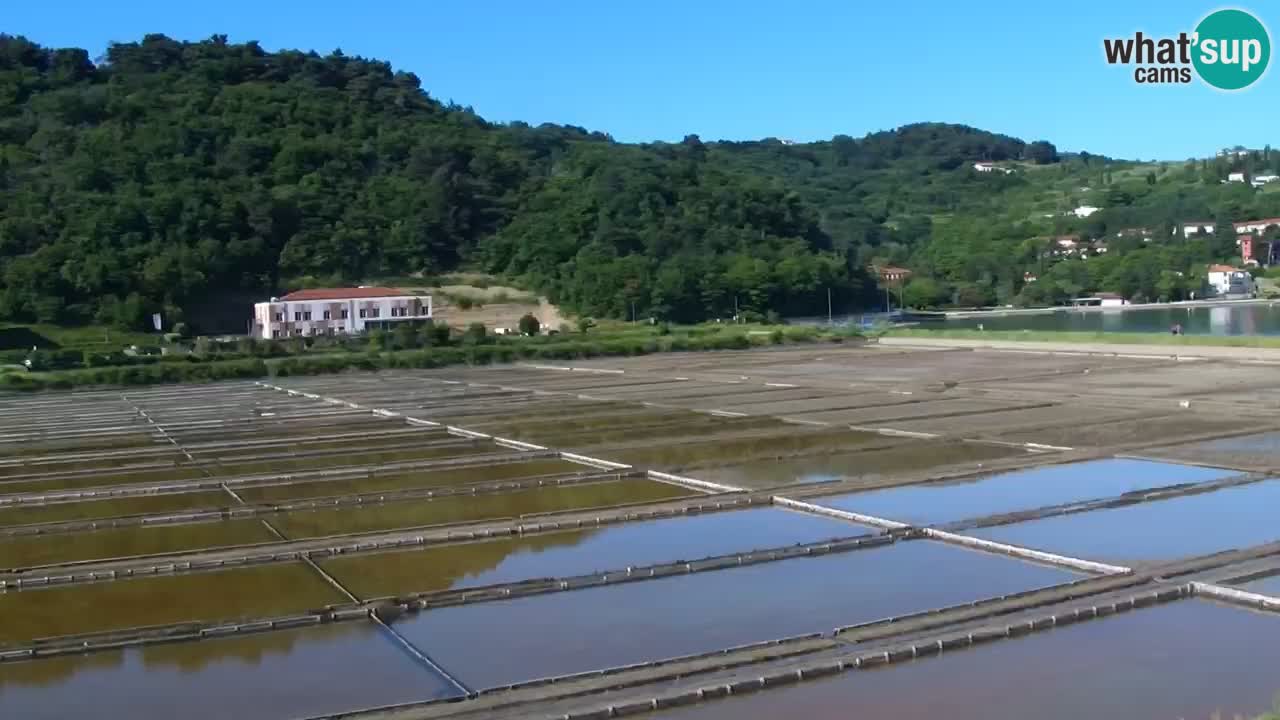 Krajinski park Strunjan