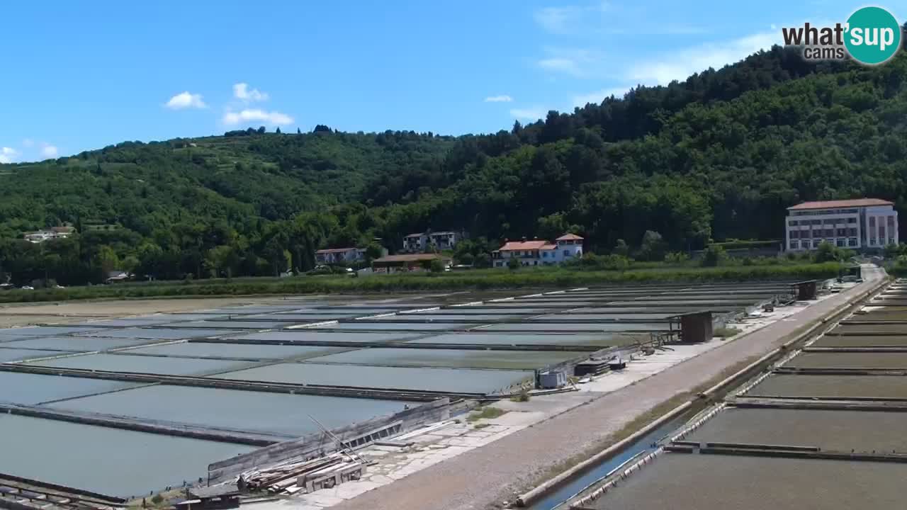 Krajinski park Strunjan