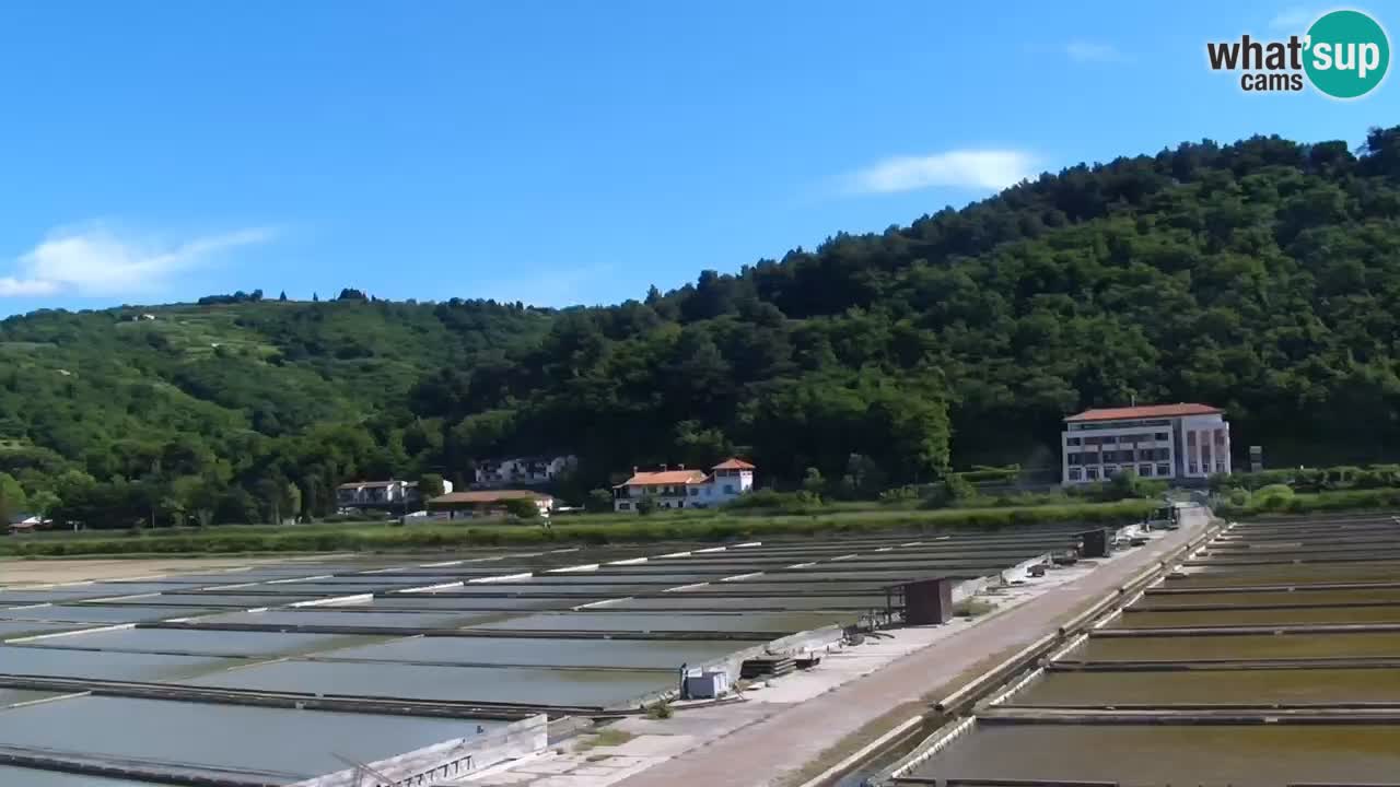 Krajinski park Strunjan v živo