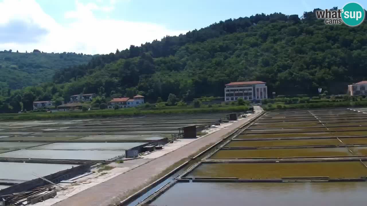 Krajinski park Strunjan