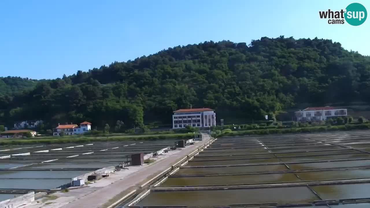 Krajinski park Strunjan