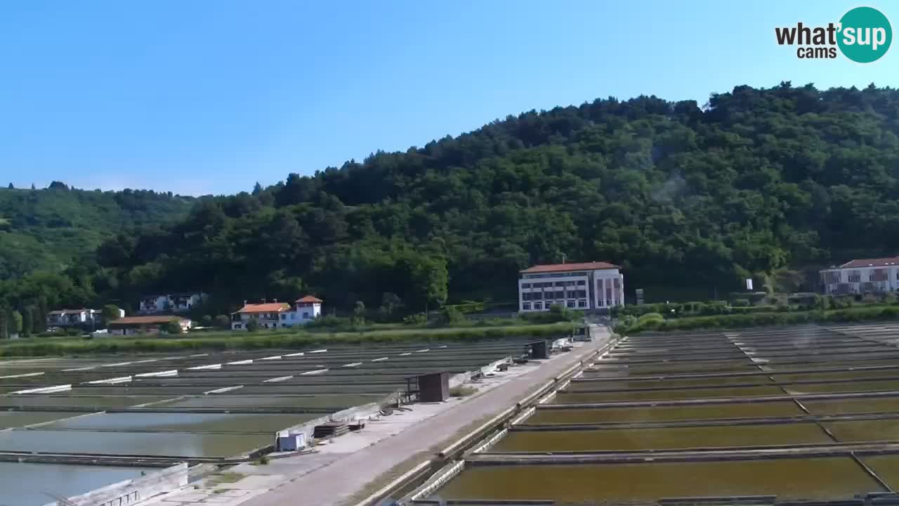 Krajinski park Strunjan