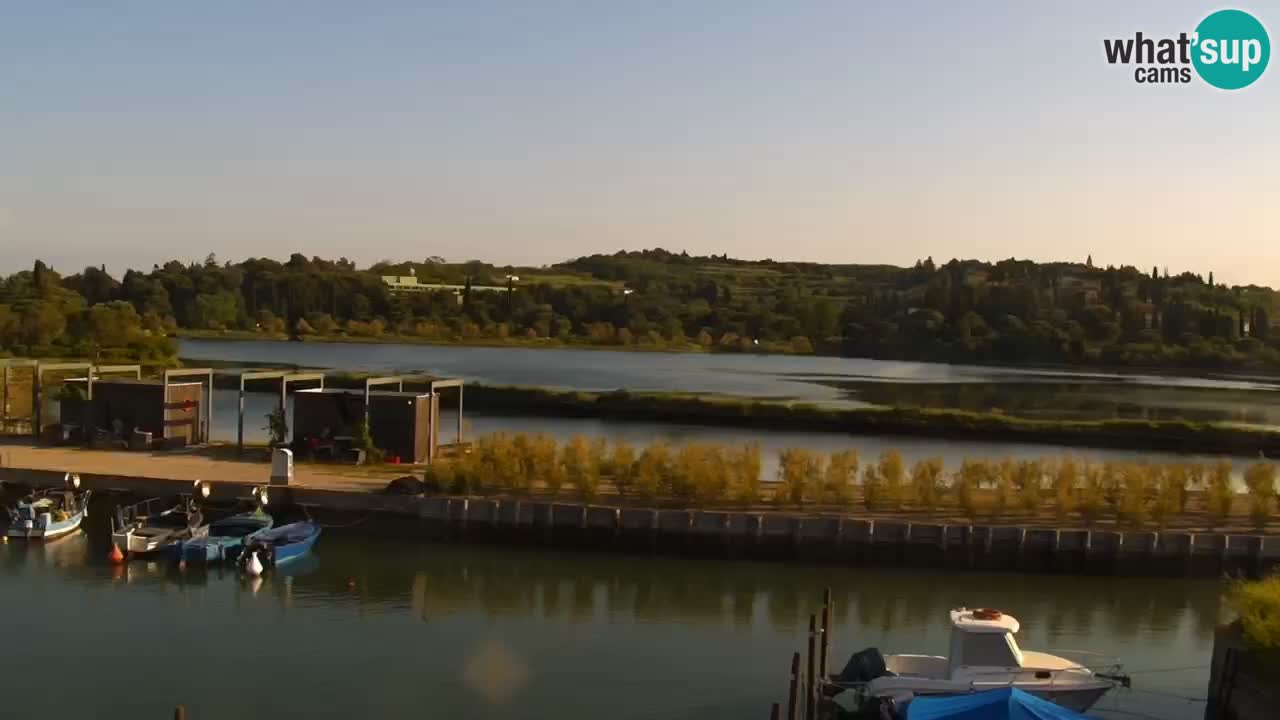 Krajinski park Strunjan u živo
