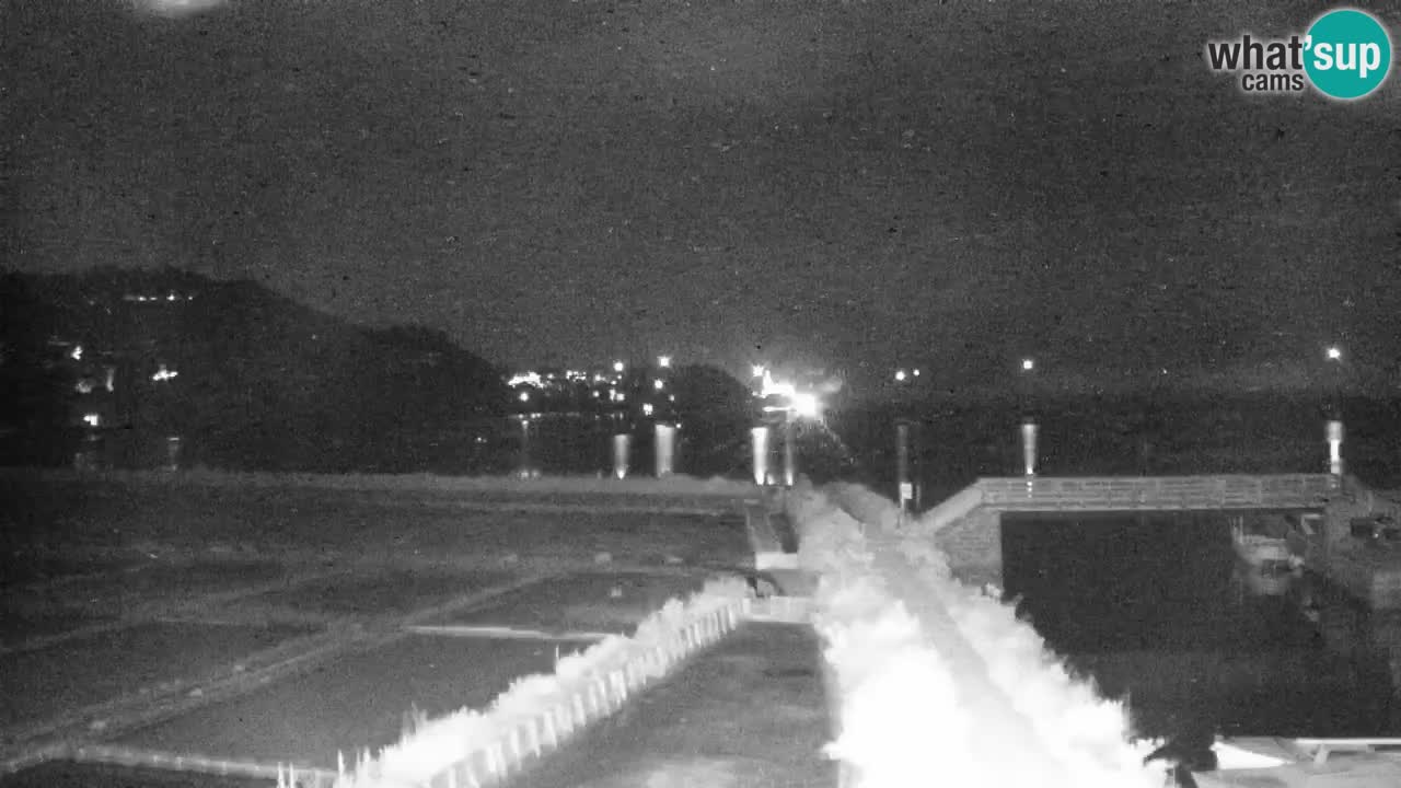 Krajinski park Strunjan v živo