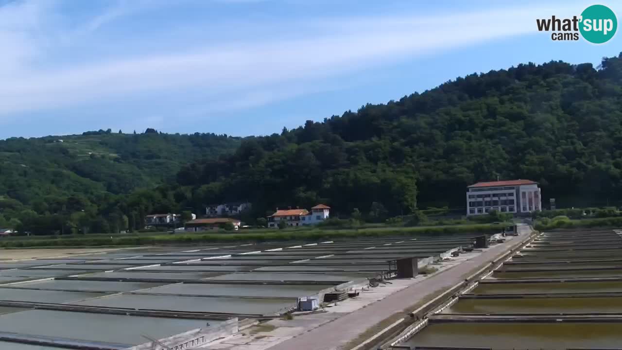 Krajinski park Strunjan