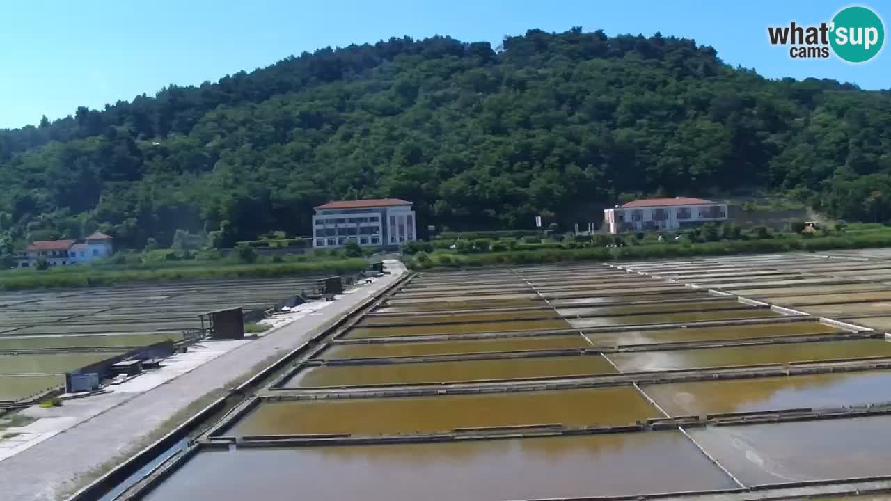 Krajinski park Strunjan