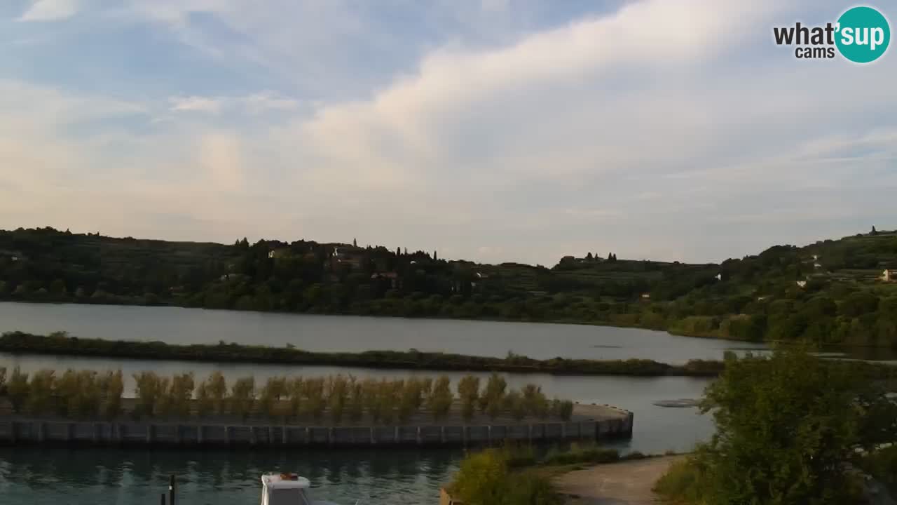 Krajinski park Strunjan v živo