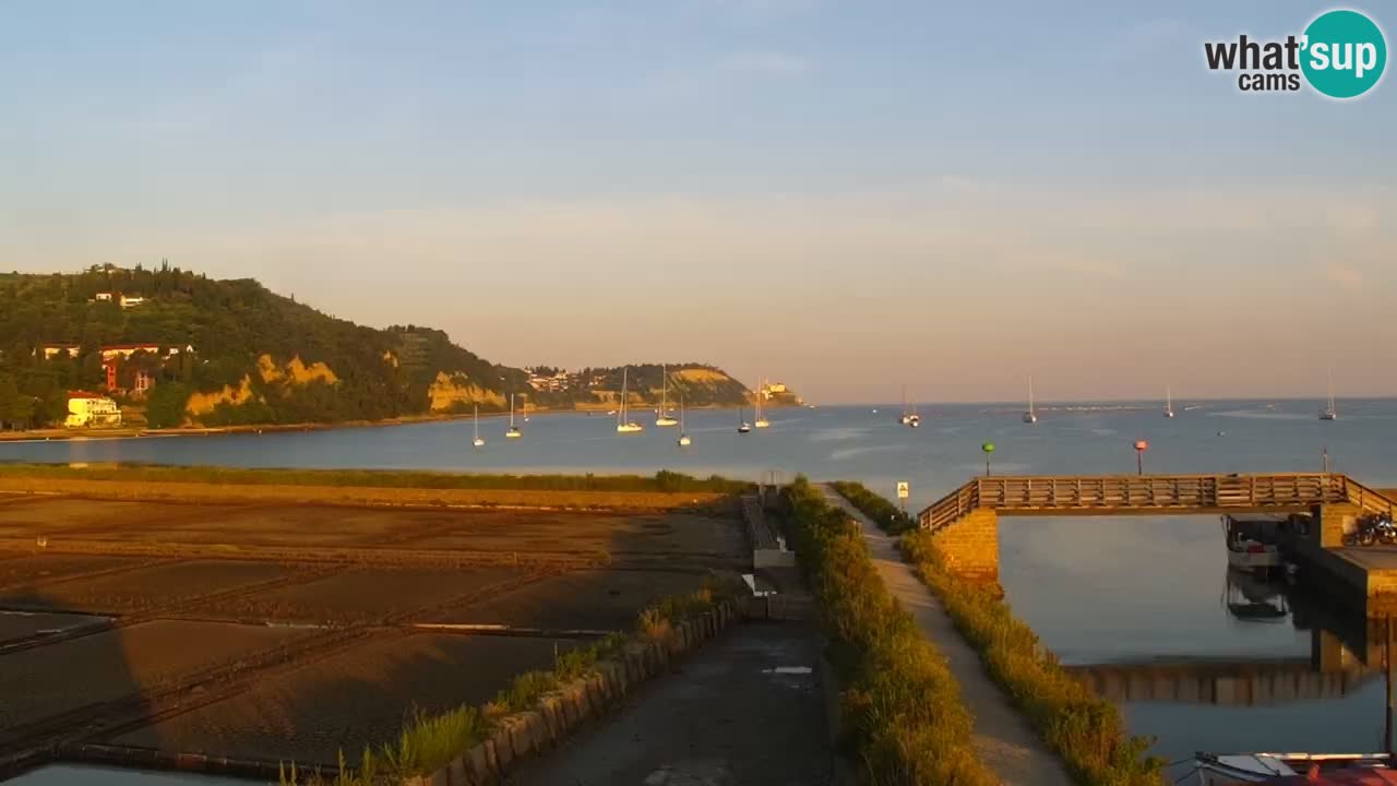 Krajinski park Strunjan u živo
