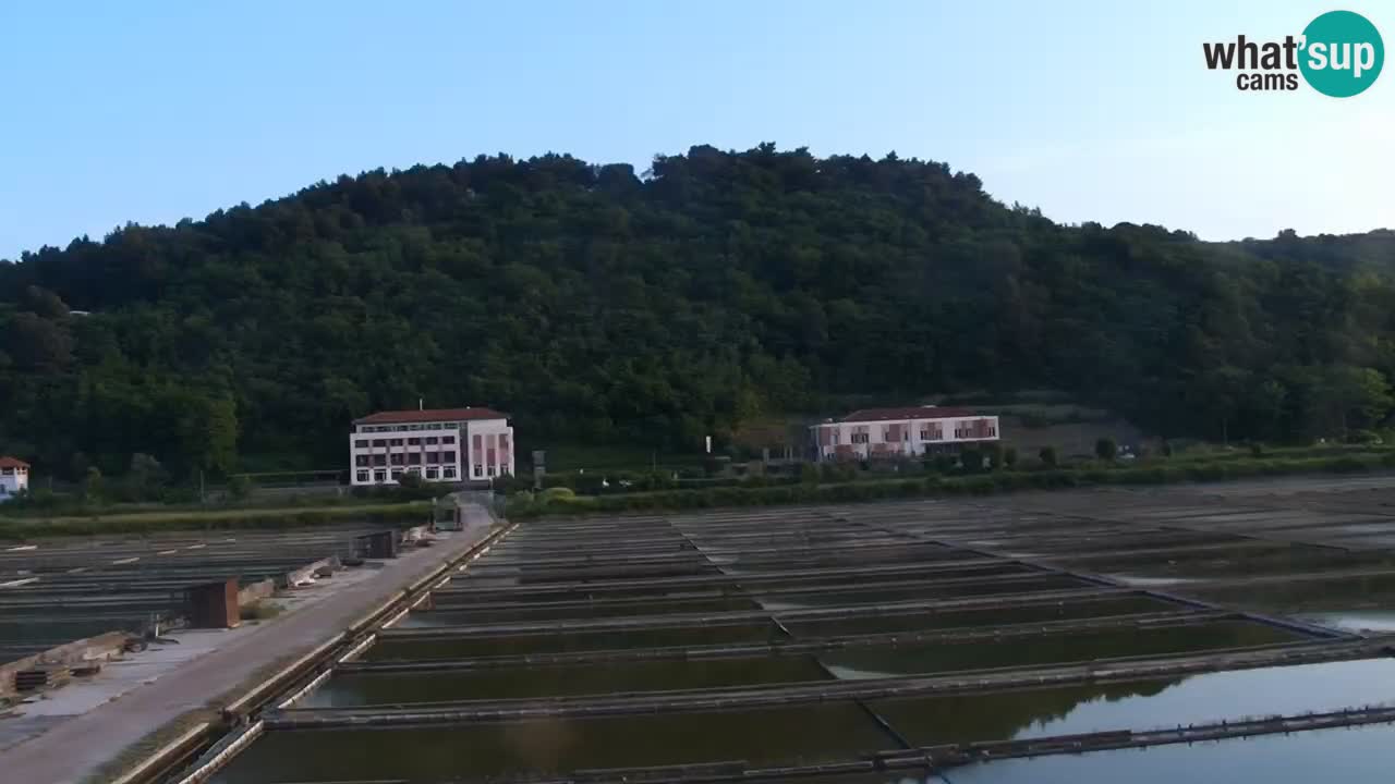 Krajinski park Strunjan