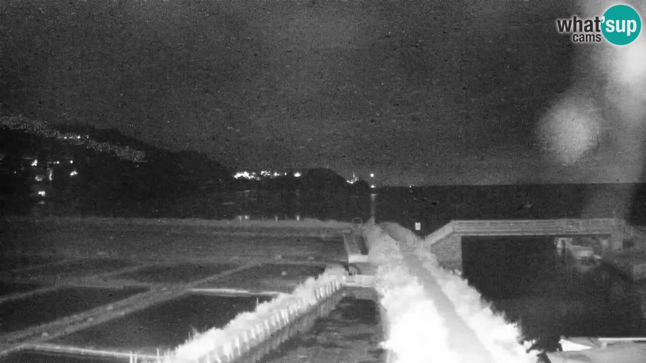Krajinski park Strunjan