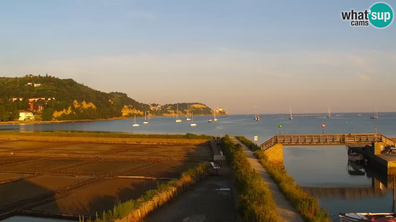 Krajinski park Strunjan v živo