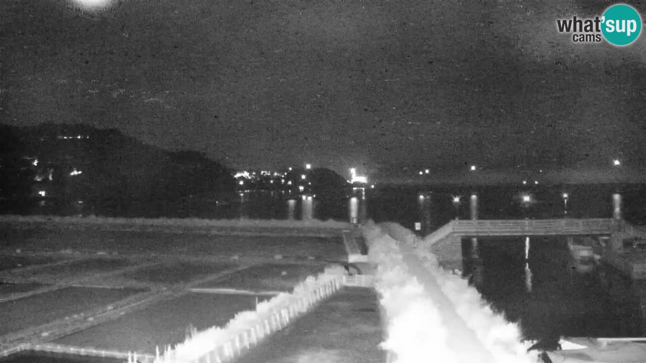 Krajinski park Strunjan