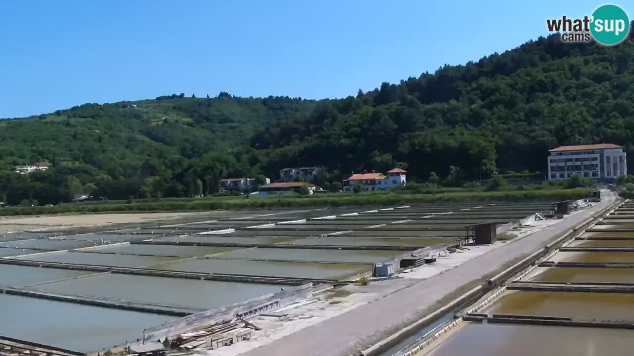 Krajinski park Strunjan
