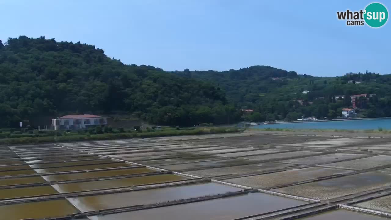 Krajinski park Strunjan