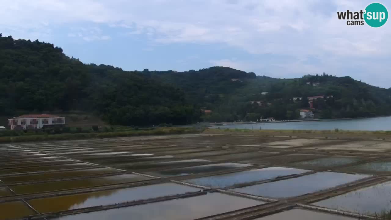 Krajinski park Strunjan
