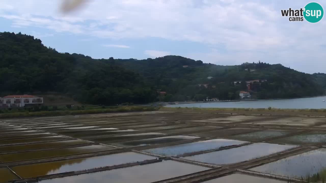 Krajinski park Strunjan