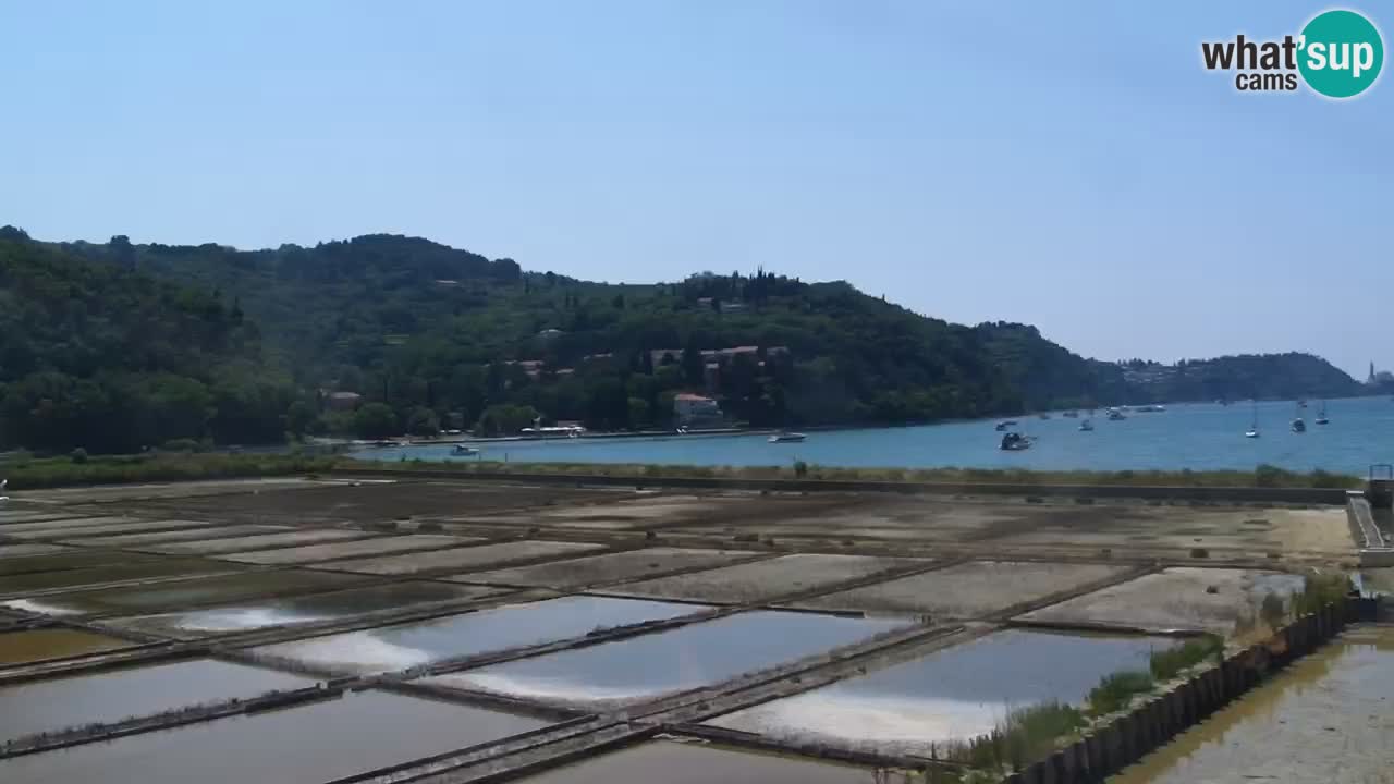 Krajinski park Strunjan
