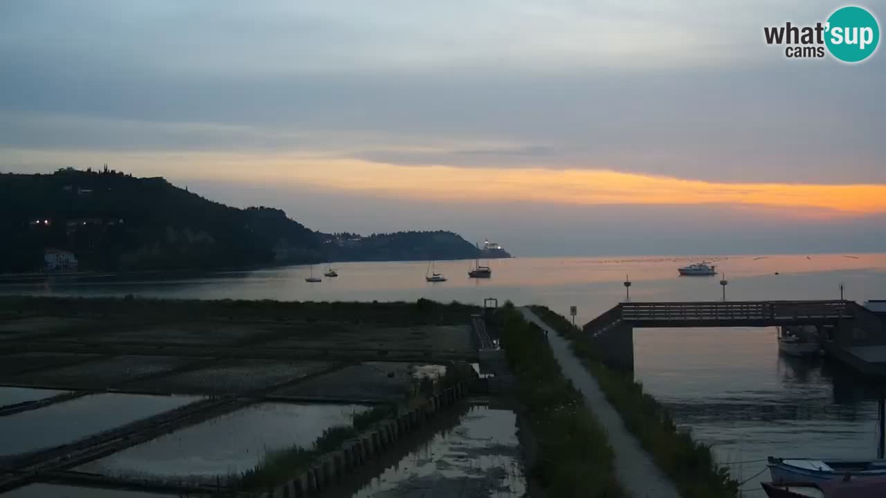 Krajinski park Strunjan