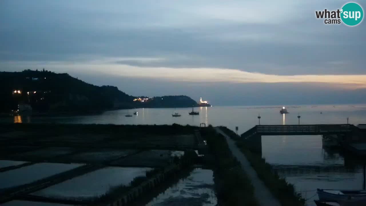 Krajinski park Strunjan