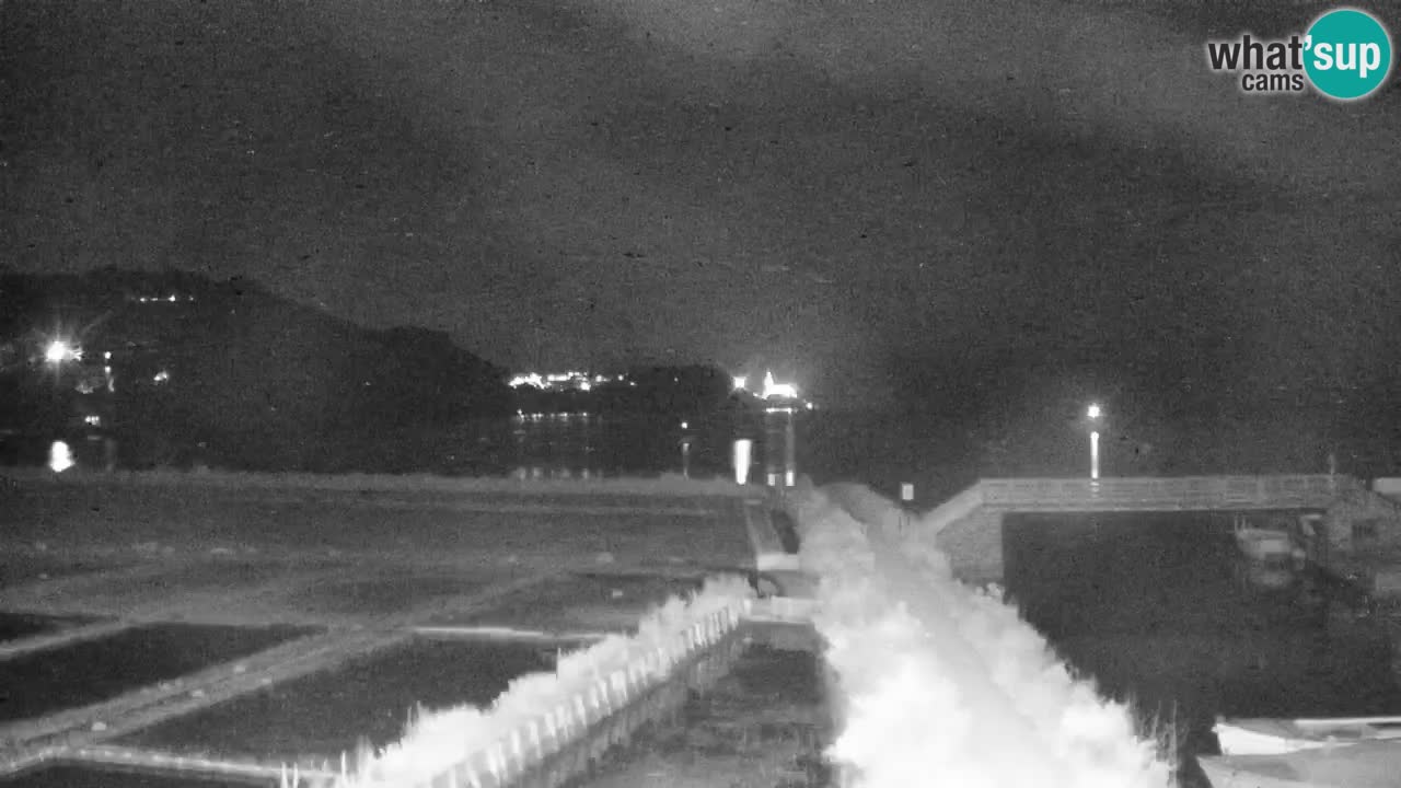 Krajinski park Strunjan