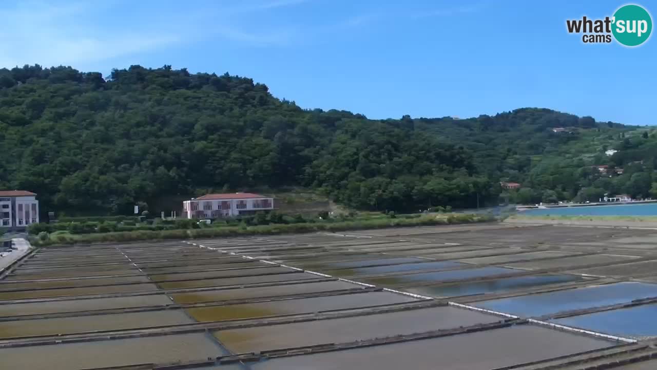 Parco naturale Strugnano