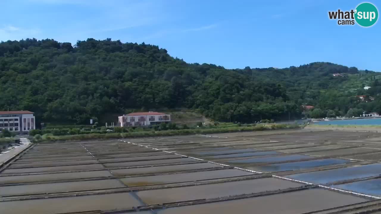 Krajinski park Strunjan