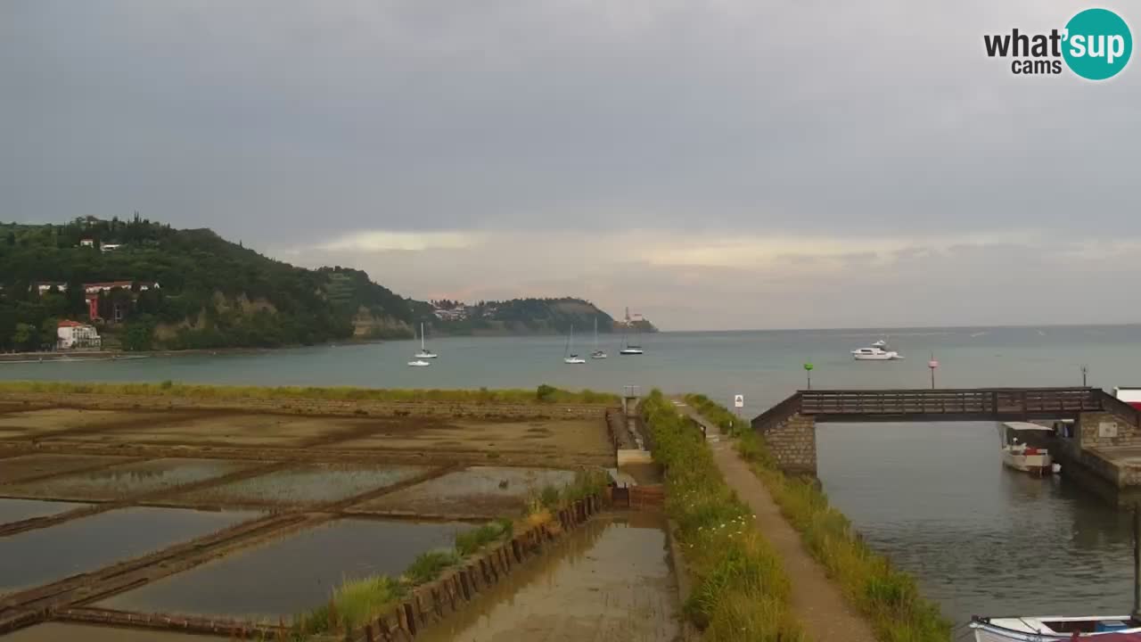 Krajinski park Strunjan