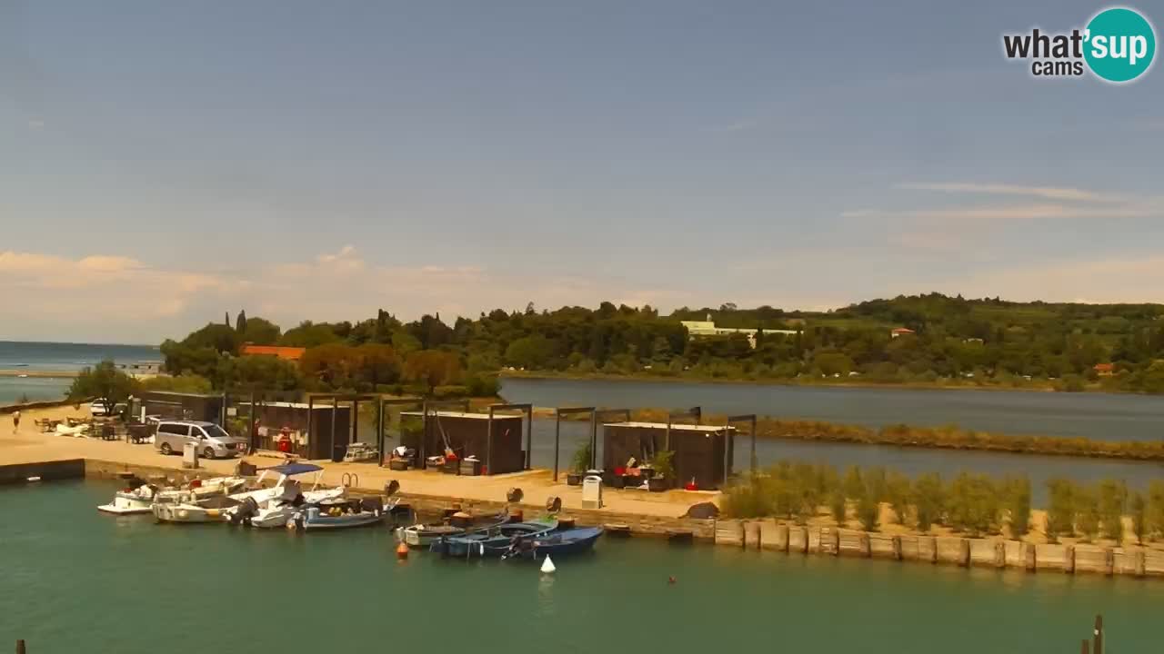Krajinski park Strunjan v živo