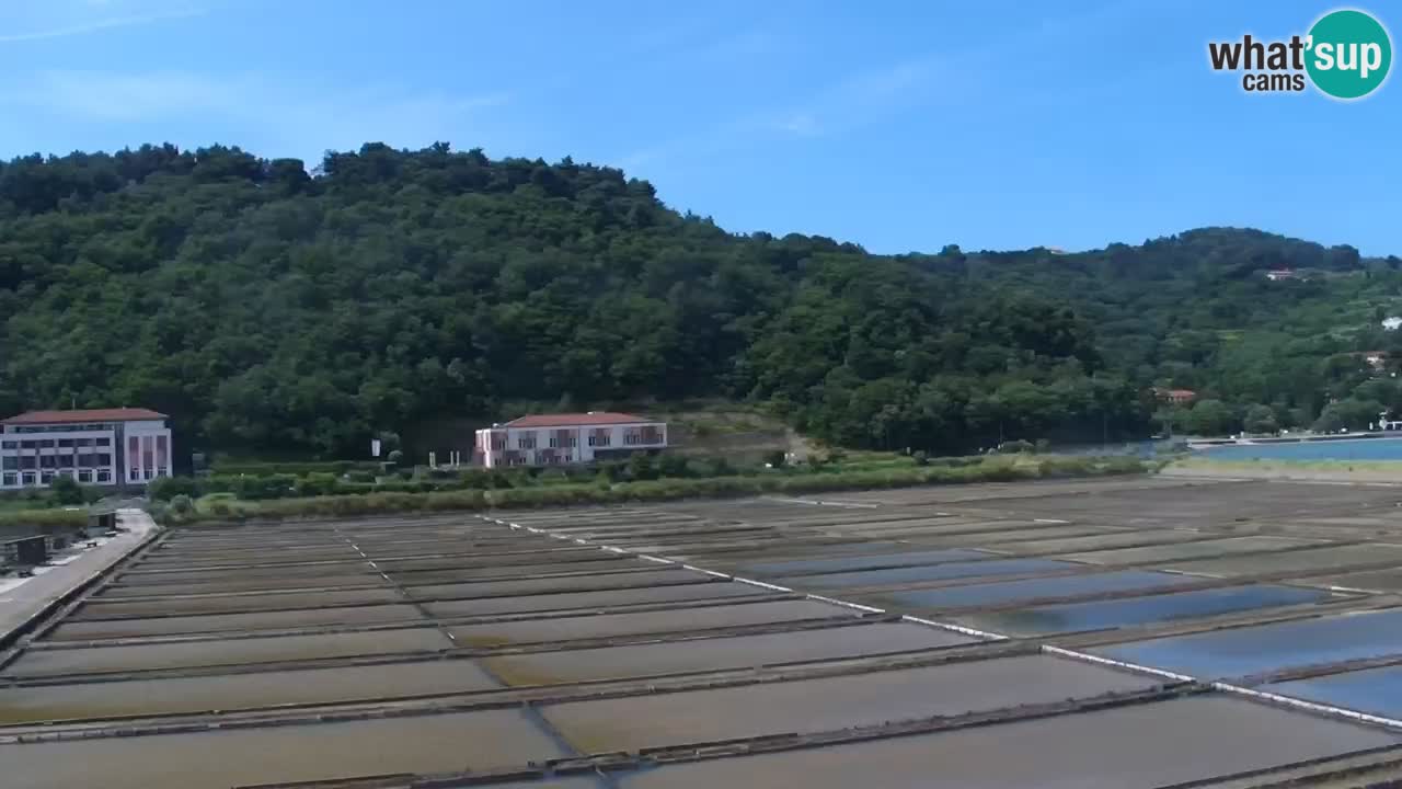 Krajinski park Strunjan