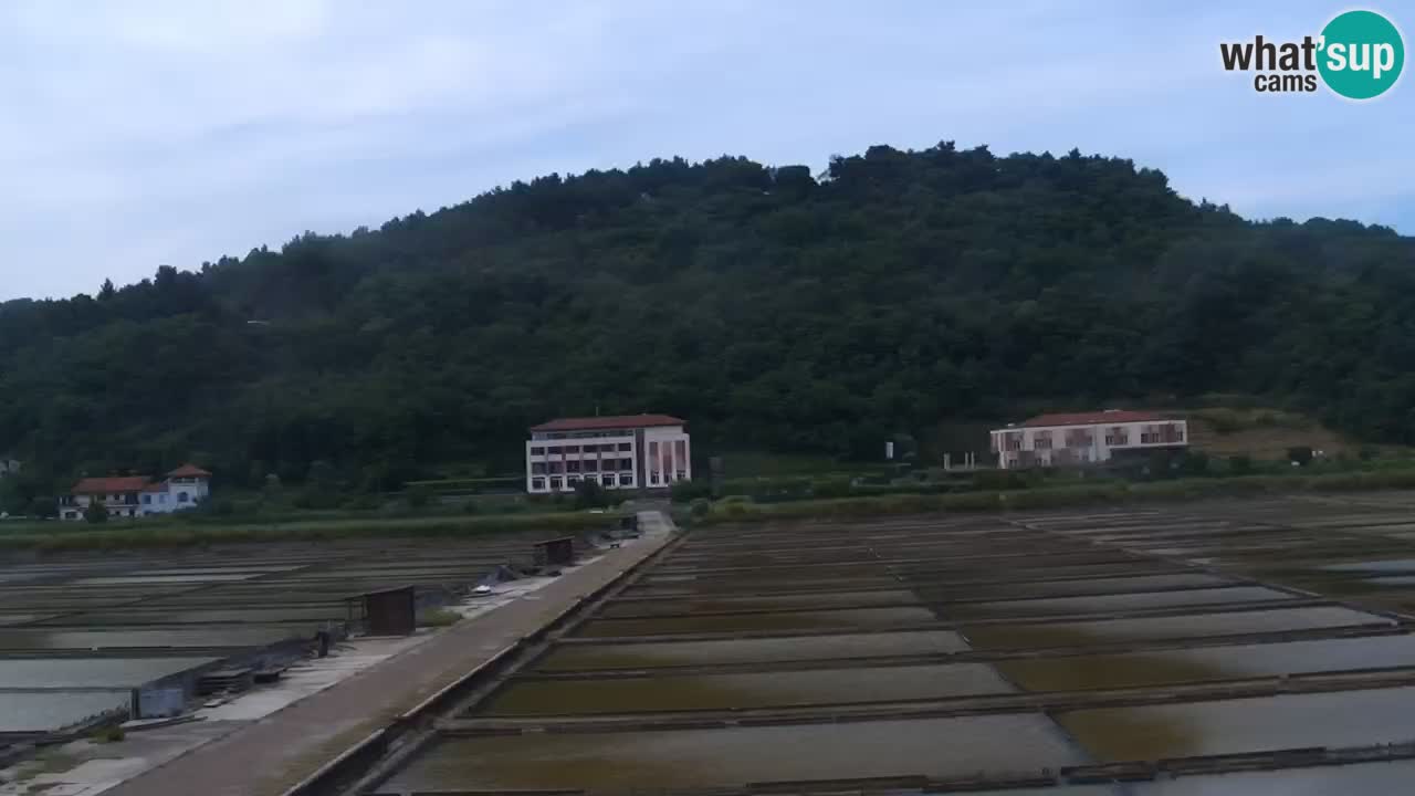 Krajinski park Strunjan
