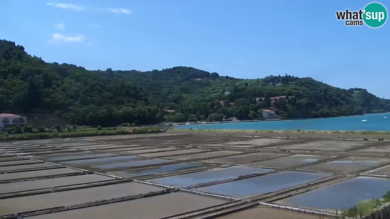 Krajinski park Strunjan