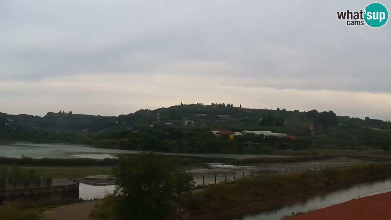 Krajinski park Strunjan