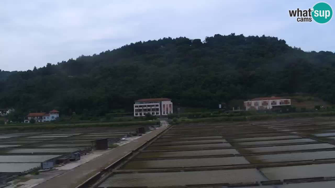Krajinski park Strunjan
