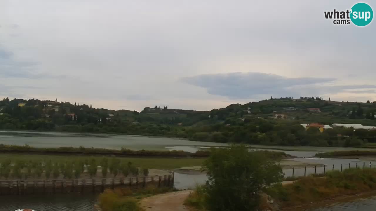 Parco naturale Strugnano