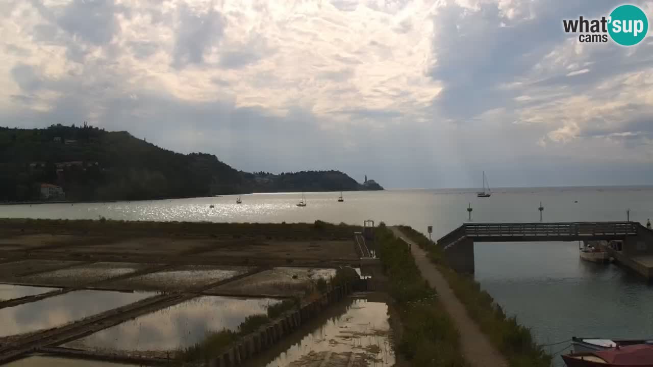 Krajinski park Strunjan