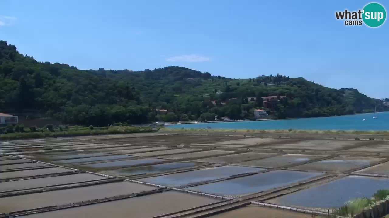 Krajinski park Strunjan