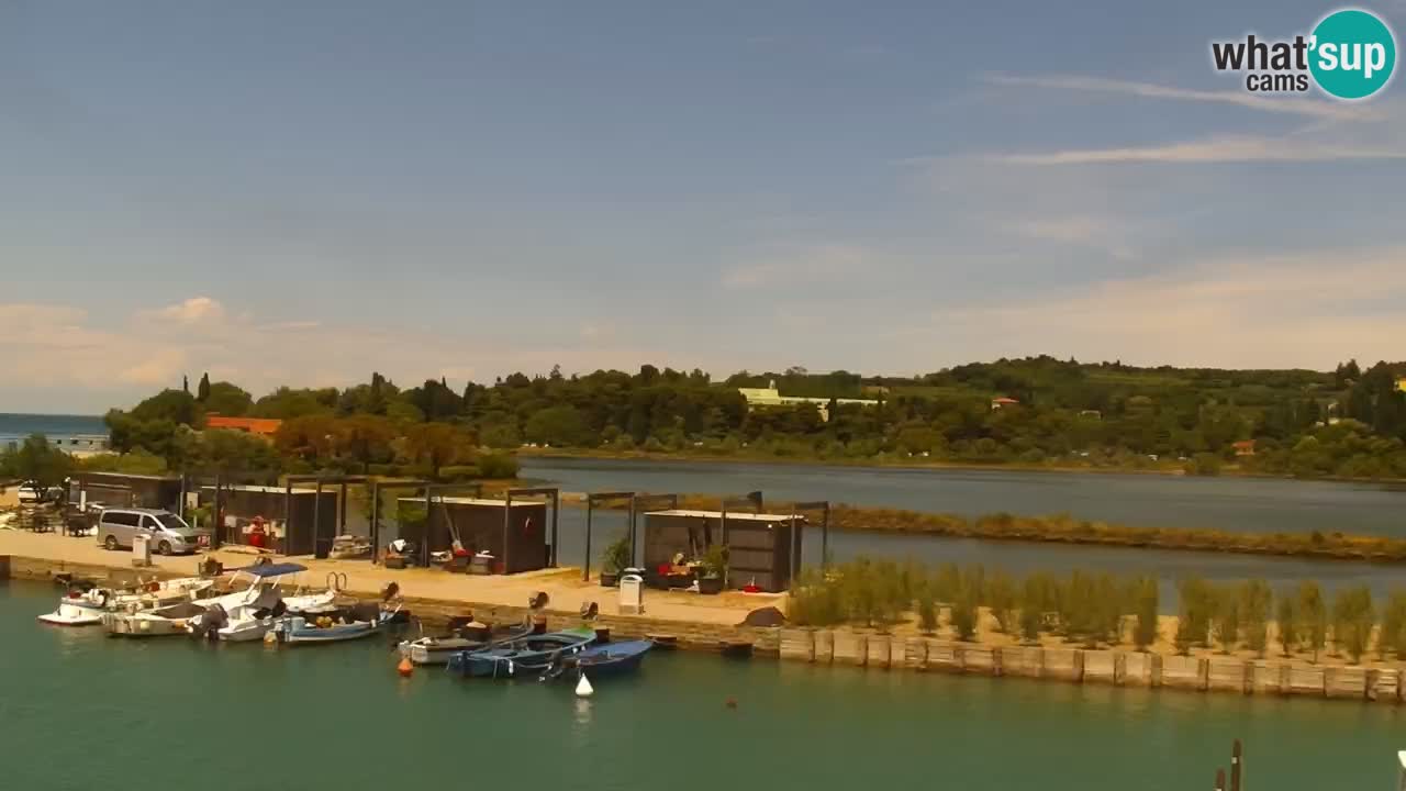 Krajinski park Strunjan u živo
