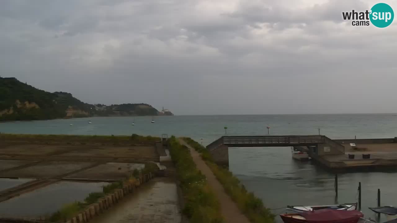 Krajinski park Strunjan v živo